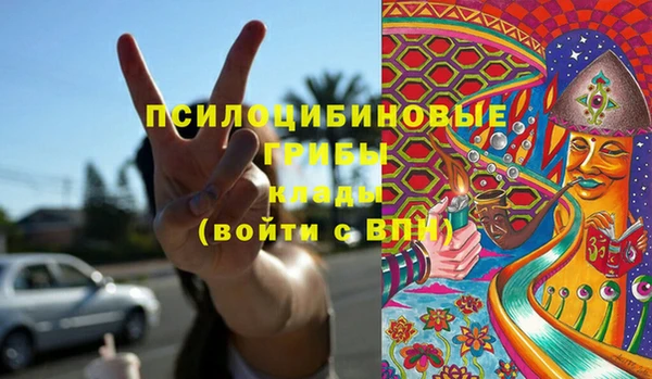 не бодяженный Гусев