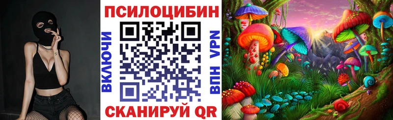 кракен   Обь  Галлюциногенные грибы Psilocybine cubensis  закладка 