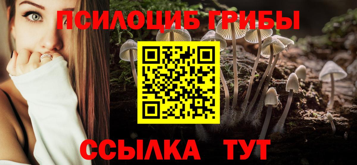 Обь  Галлюциногенные грибы Cubensis  Вход с VPN 
