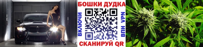 Канабис SATIVA & INDICA  Обь 